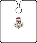 ΜΠΕΡΤΑ ΚΟΜ/ΡΙΟΥ Color Skull BM-C 1005 Barber Mood