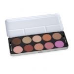 STARGAZER BLUSHER PALELLET
