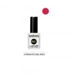 1 λεπτού Gel Andreia 10ml M21