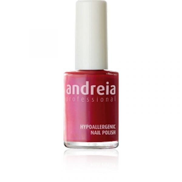 ΒΕΡΝΙΚΙ ΝΥΧΙΩΝ ANDREIA 14ml 29