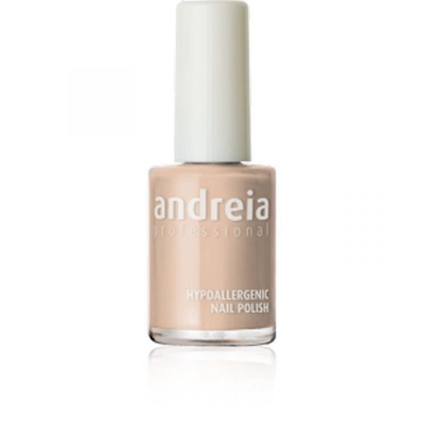 ΒΕΡΝΙΚΙ ΝΥΧΙΩΝ ANDREIA 14ml 42