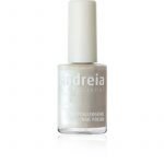 ΒΕΡΝΙΚΙ ΝΥΧΙΩΝ ANDREIA 14ml 58