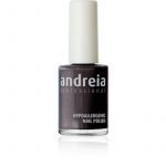 ΒΕΡΝΙΚΙ ΝΥΧΙΩΝ ANDREIA 14ml -65