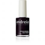 ΒΕΡΝΙΚΙ ΝΥΧΙΩΝ ANDREIA 14ml-66