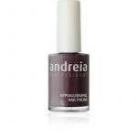 ΒΕΡΝΙΚΙ ΝΥΧΙΩΝ ANDREIA 14ml -67