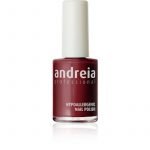 ΒΕΡΝΙΚΙ ΝΥΧΙΩΝ ANDREIA 14ml -68