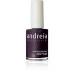 ΒΕΡΝΙΚΙ ΝΥΧΙΩΝ ANDREIA 14ml -69