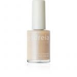 ΒΕΡΝΙΚΙ ΝΥΧΙΩΝ ANDREIA 14ml -80
