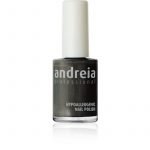 ΒΕΡΝΙΚΙ ΝΥΧΙΩΝ ANDREIA 14ml -81