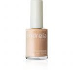ΒΕΡΝΙΚΙ ΝΥΧΙΩΝ ANDREIA 14ml -91
