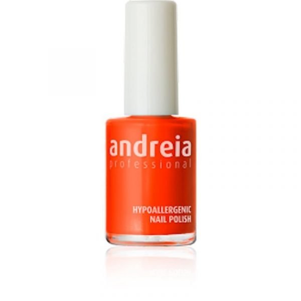 Βερνίκι νυχιών Andreia 14ml -106