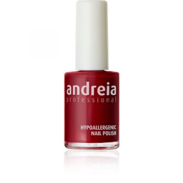 Βερνίκι νυχιών Andreia 14ml -117