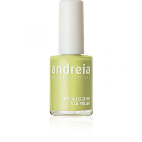 Βερνίκι νυχιών Andreia 14ml -133