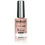 Υβριδικό Βερνίκι Andreia Νο Η49