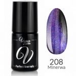 VASCO GALAXY CAT EYE 7D 208 HMIM/MO MINERWA 6ml