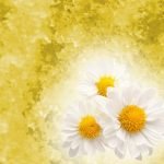 JELLY SPA THERAPY PEDICURE & MANICURE BATH CHAMOMILE & SOLUTE SET 1515042