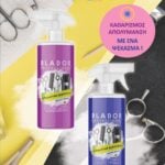 ΚΑΘΑΡΙΣΤΙΚΟ ΛΕΠΙΔΩΝ BLADOR SPRAY BLUE 400ml