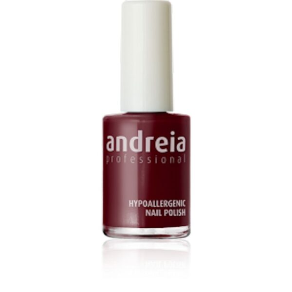 ΒΕΡΝΙΚΙ ΝΥΧΙΩΝ ANDREIA 14ml 08