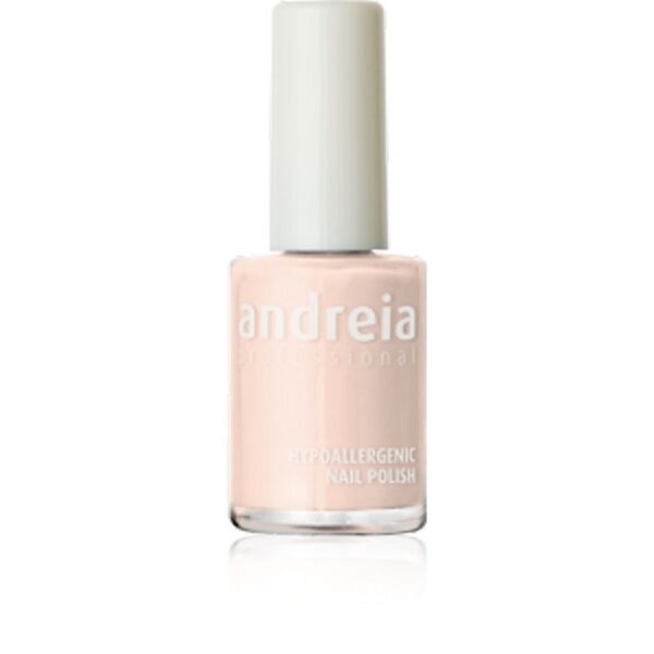 ΒΕΡΝΙΚΙ ΝΥΧΙΩΝ ANDREIA 14ml 15