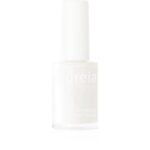 ΒΕΡΝΙΚΙ ΝΥΧΙΩΝ ANDREIA 14ml 21