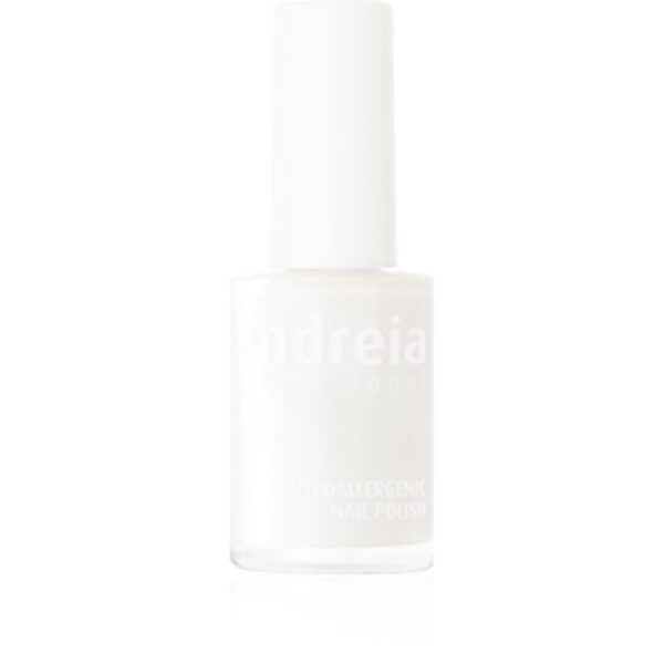 ΒΕΡΝΙΚΙ ΝΥΧΙΩΝ ANDREIA 14ml 21