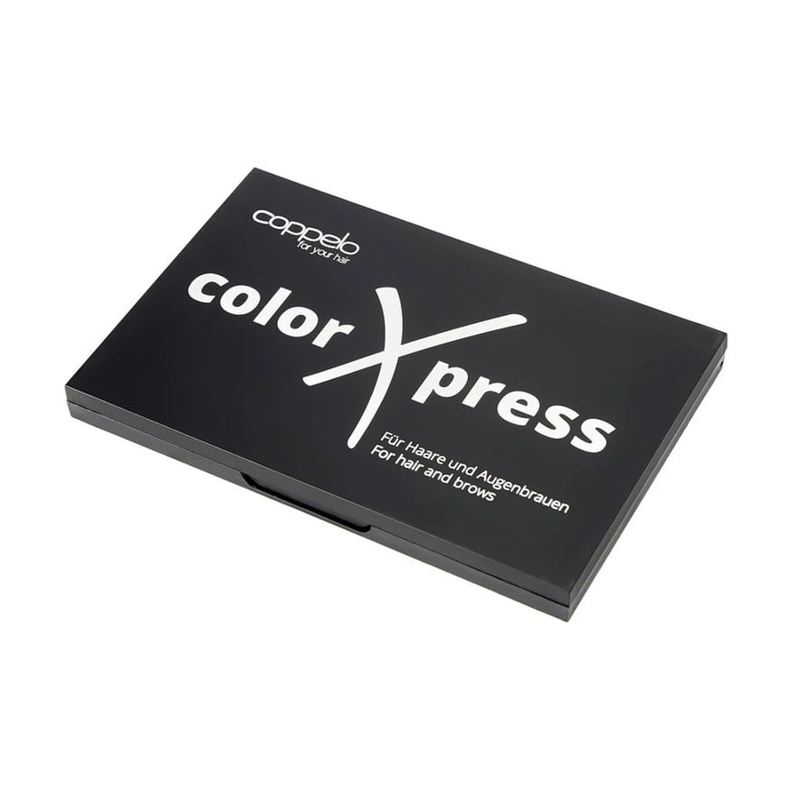 606155-1 COLOR XPRESS DARK-BLONDE TO BROWN 2x4gr